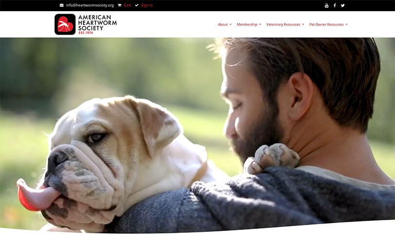 American Heartworm Association American Heartworm Association