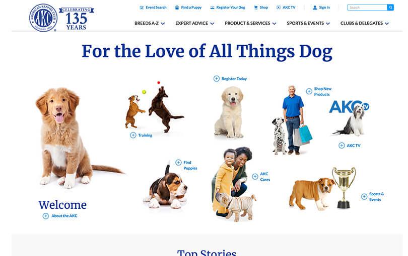 American Kennel Club American Kennel Club
