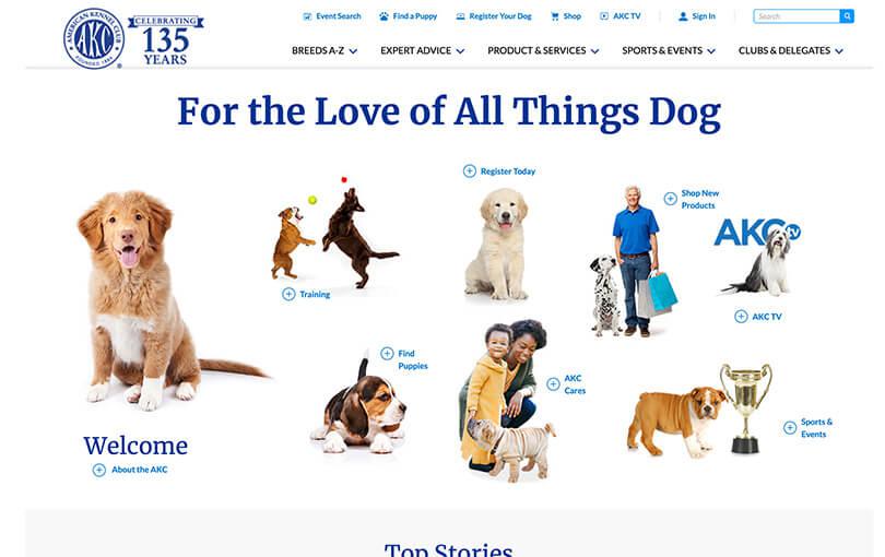 American Kennel Club